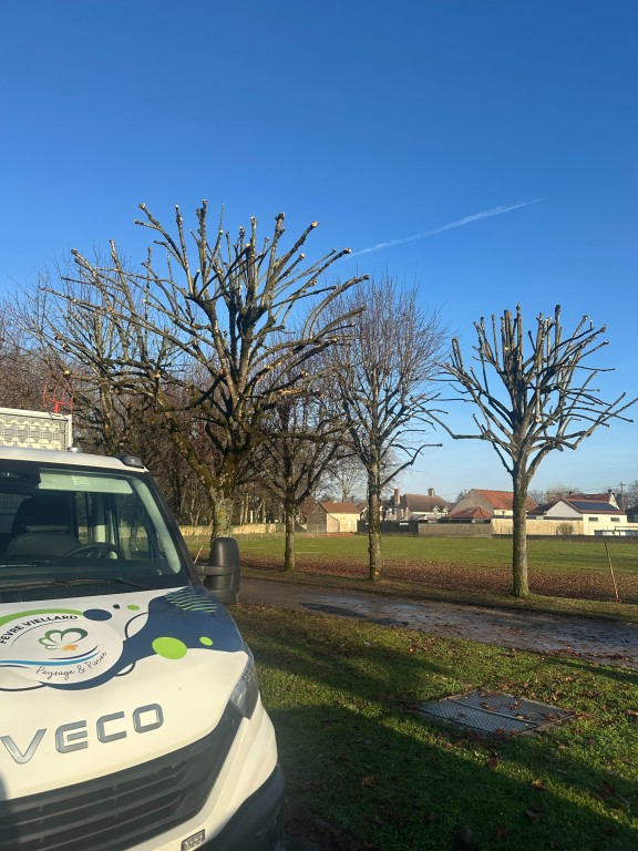 Comment choisir le meilleur service d'élagage à Brazey-en-Plaine ?